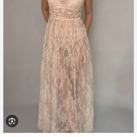 Pamelina Doen Sheer Lace Dress - Picture 2 of 6